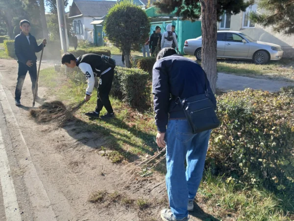 559687479 1228983745923752 830213155547412689 n